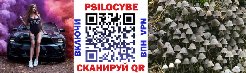 Галлюциногенные грибы Magic Shrooms  наркошоп  Монино 