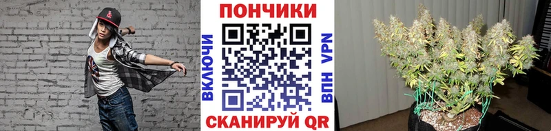 гидра онион Монино Шишки марихуана планчик